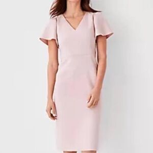 Ann Taylor NWT Pink V Neck Flutter Sleeve Sheath Dress with